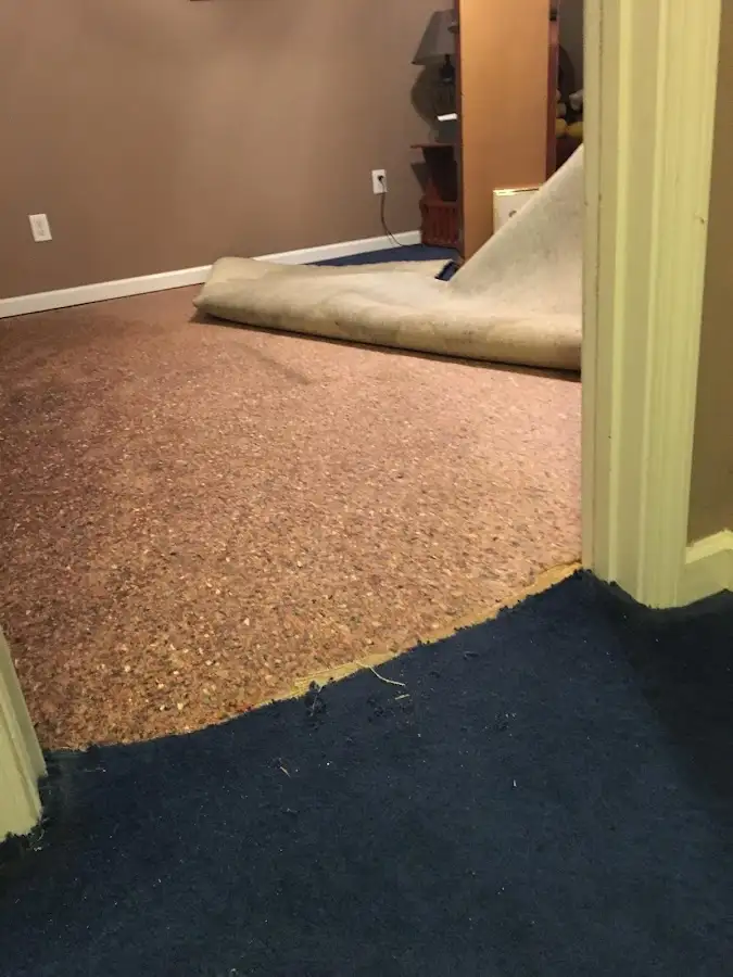 Carpet pad removal revealing water damage during Water Mitigation Services in Forrest City