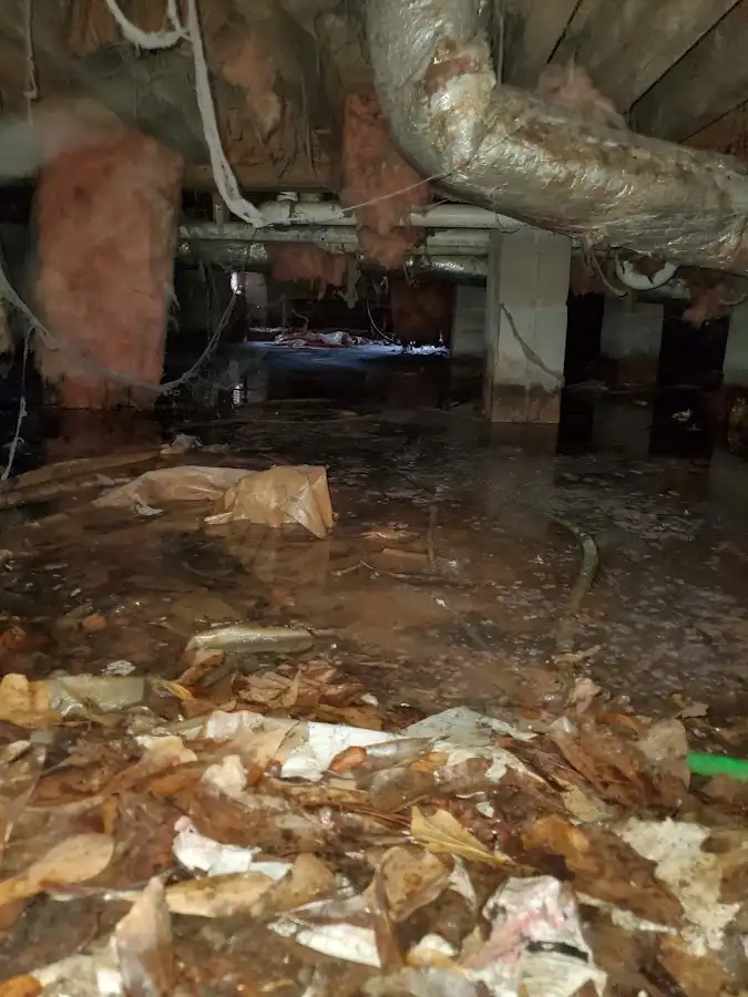 Crawl space flood assessment for Leak Detection & Repair in Forrest City